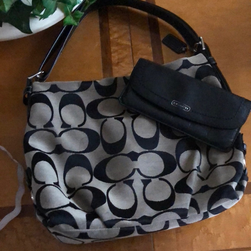 Coach Bag and Wallet Set